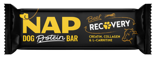 NAP_rec.png